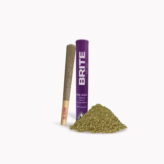 (1) BRITE — VELVET LUSHERS [1G]