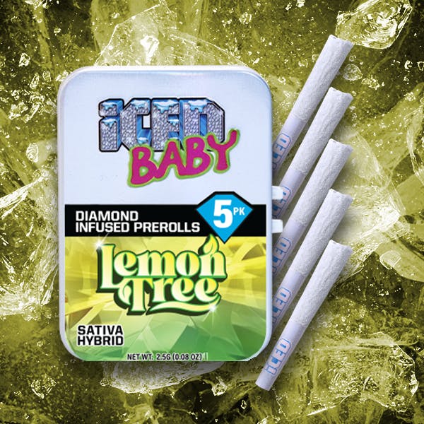 (4) ICED: Lemon Tree
