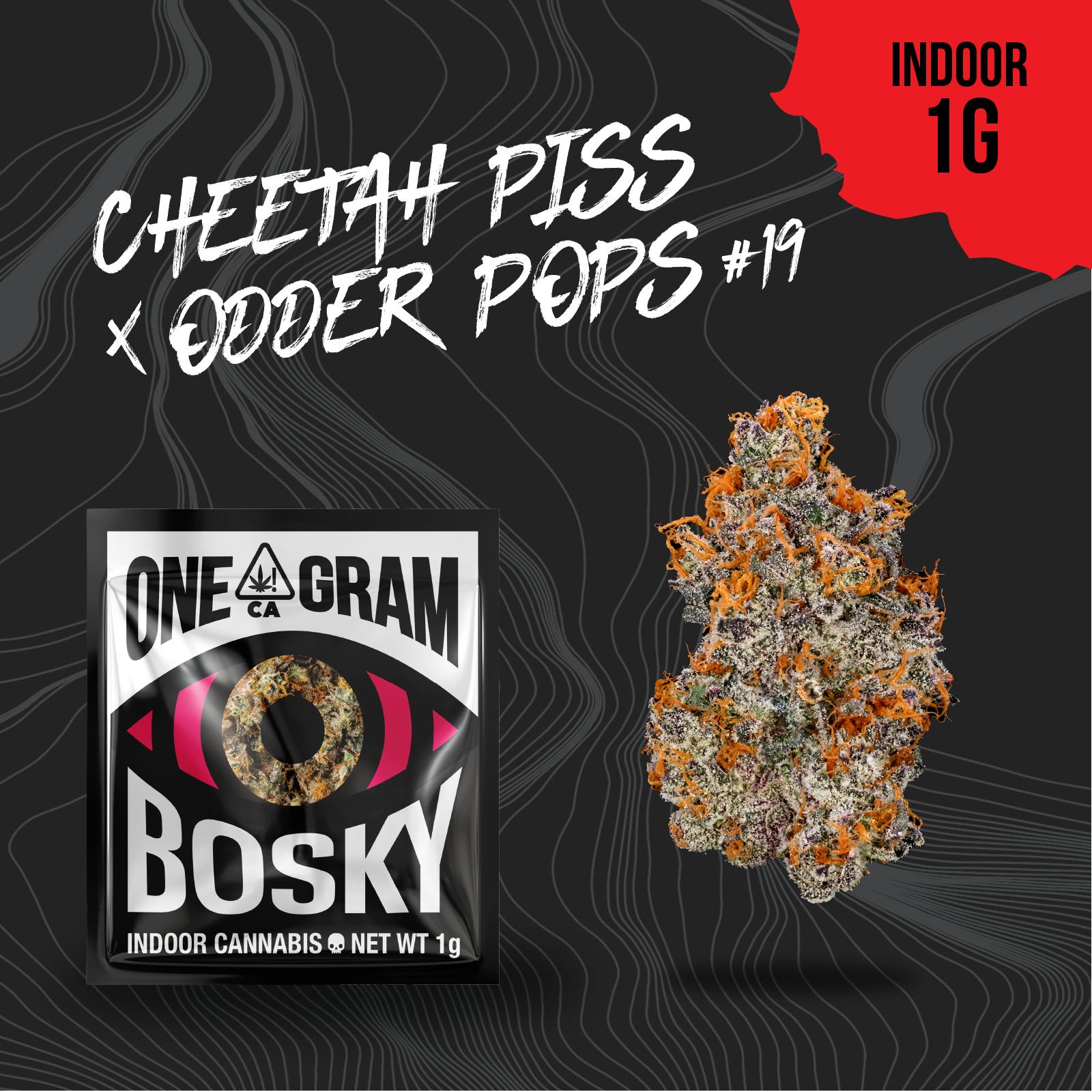 Bosky: Cheetah Piss X Odder Pops #19
