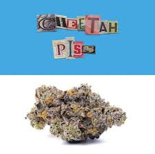CHEETAH PISS | 3.5G