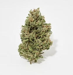 85g | Trainwreck
