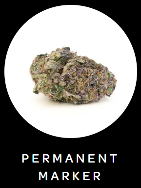 Permanent Marker | 0.7g Flower