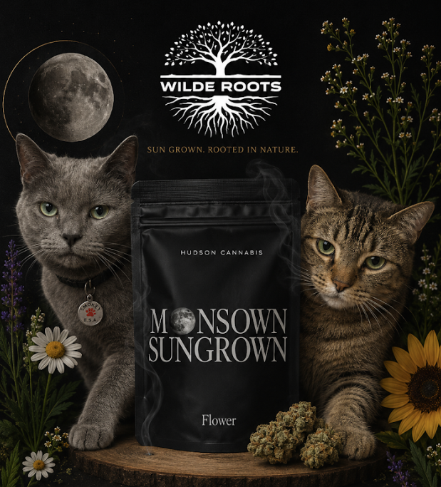 Hudson Cannabis | Snow Dog | 28g Whole Flower - 28g in Castleton-On-Hudson