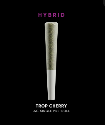 House Sacci | Trop Cherry | .5g Preroll