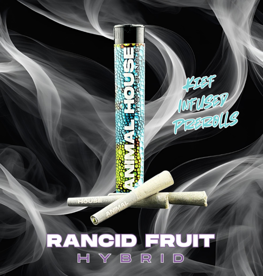 Rancid Fruit | 3PK .5G KIEF INFUSED PRE-ROLLS