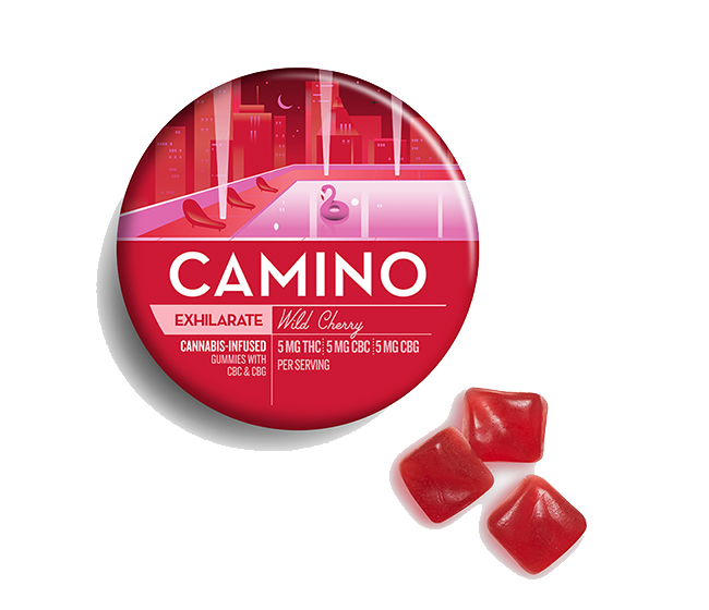 20pk 1:1:1 Gummies | Wild Cherry