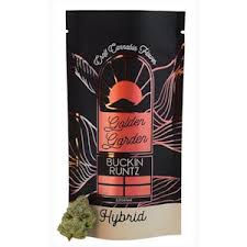 3.5g Flower | Buckin Runtz