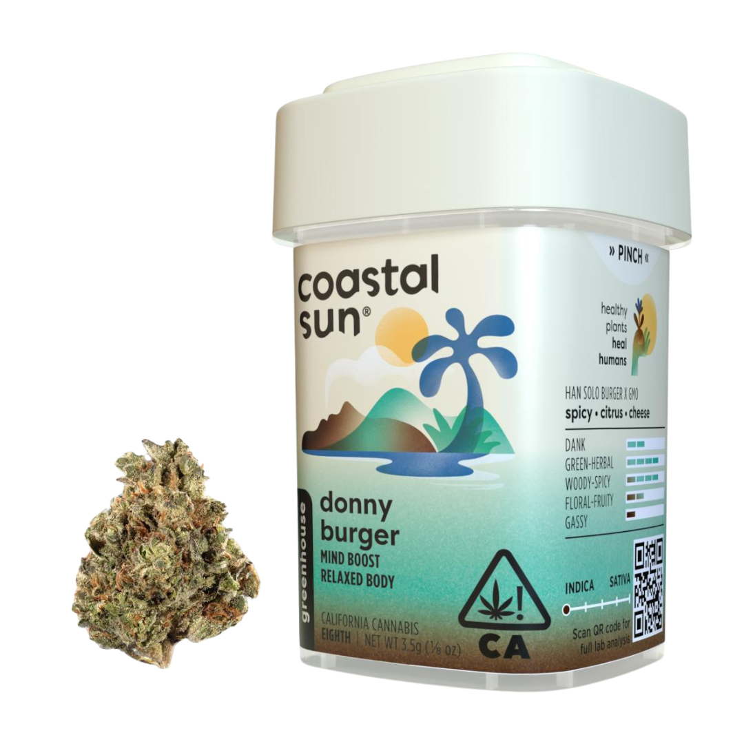 Coastal Sun — Promo - Donny Burger