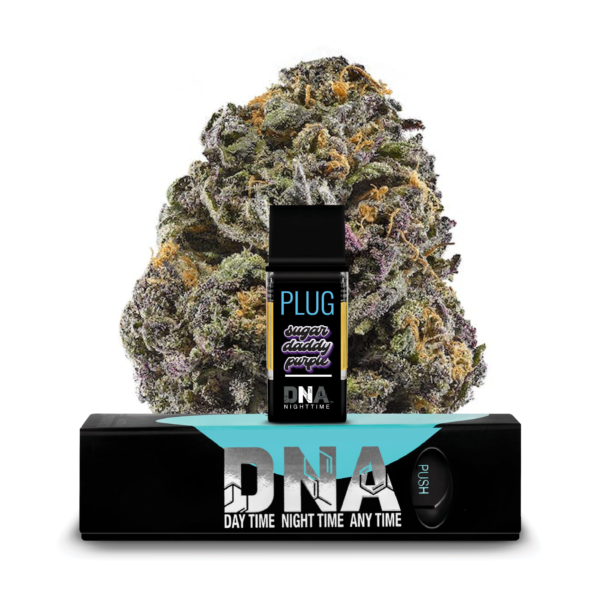 PlugPlay: Dna - Daddy Purple
