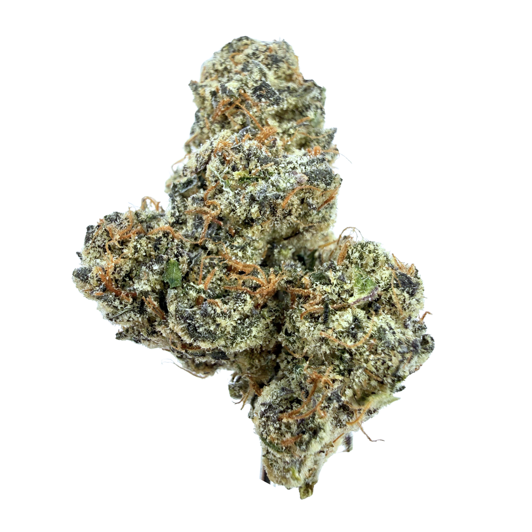 WILD LIGHT — GRAPE GAS