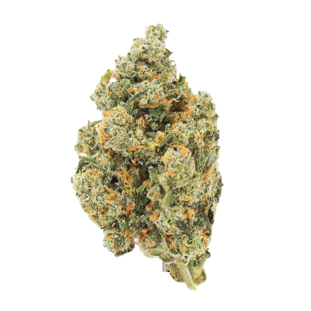 State Flower — JACK HERER