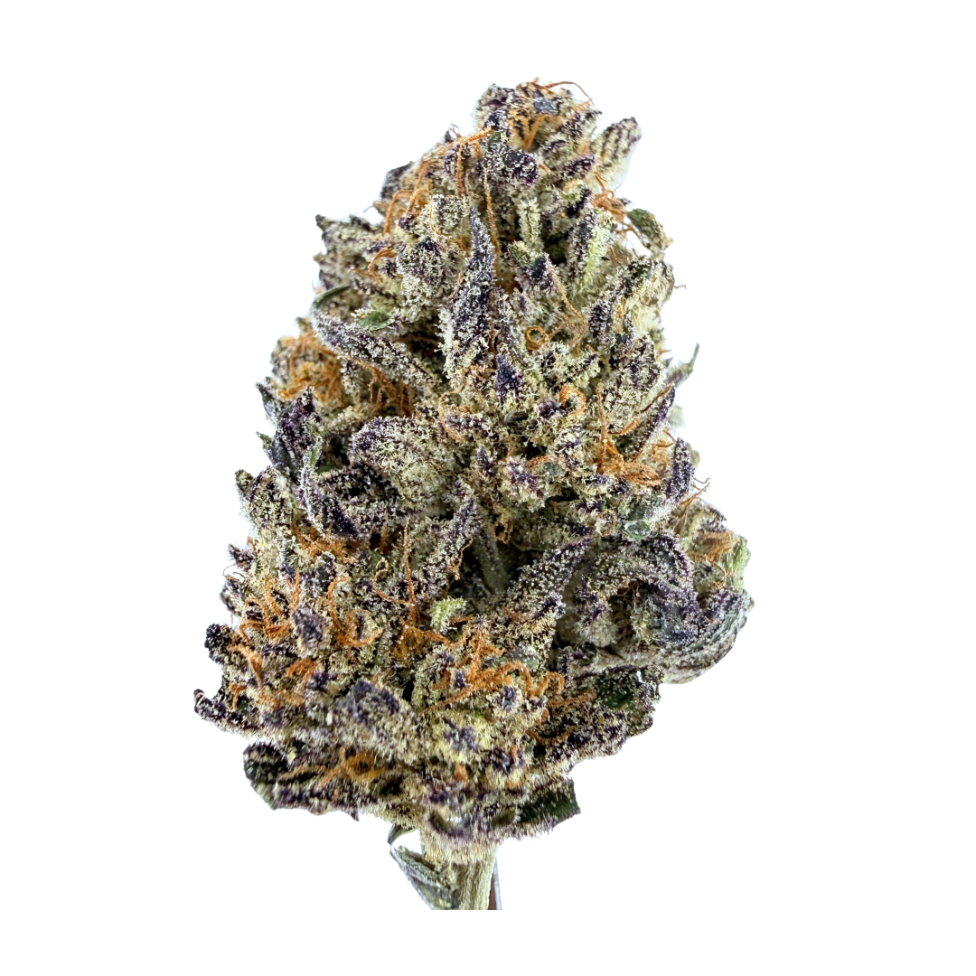 SUN ROOTS — Skunk Citrine