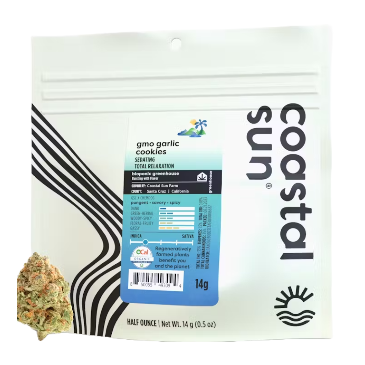 Coastal Sun: GMO Garlic Cookies