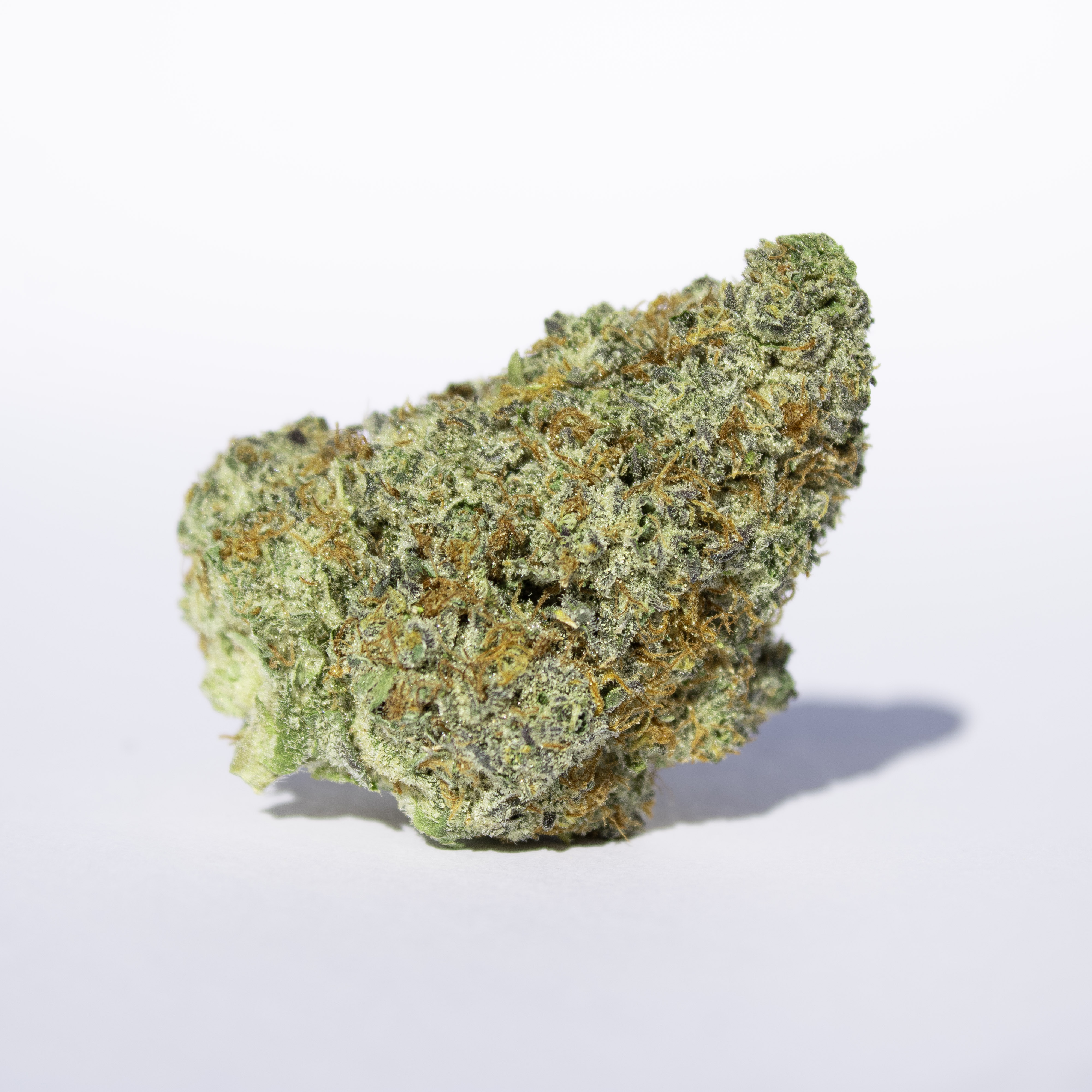 That good good — VIOLET KHALIFA