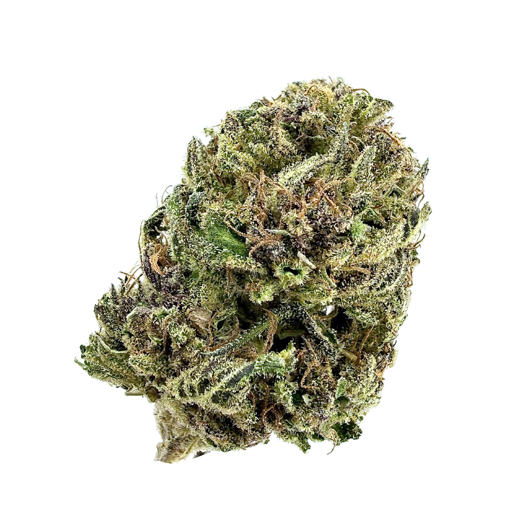 SUN ROOTS — Mule Fuel