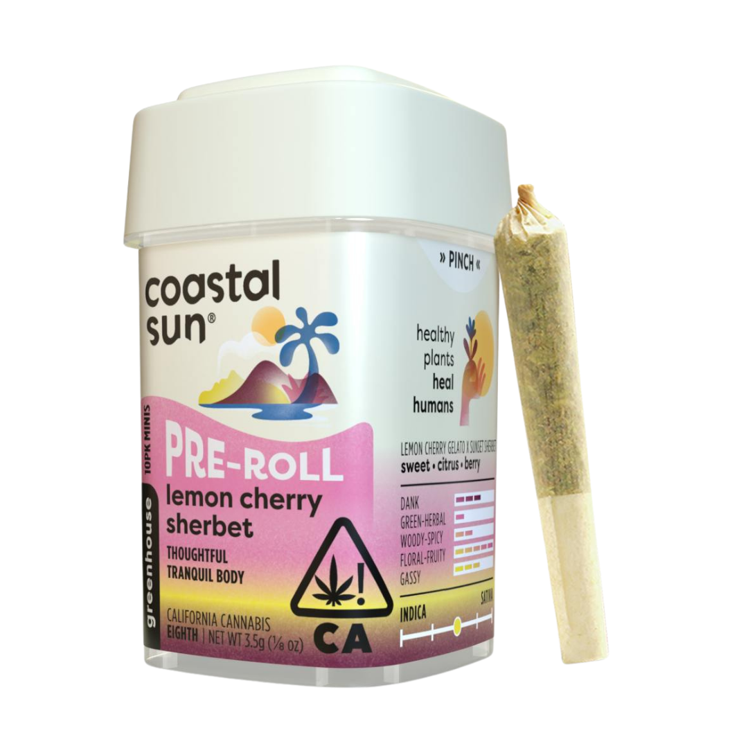 Coastal Sun: Lemon Cherry Sherbet