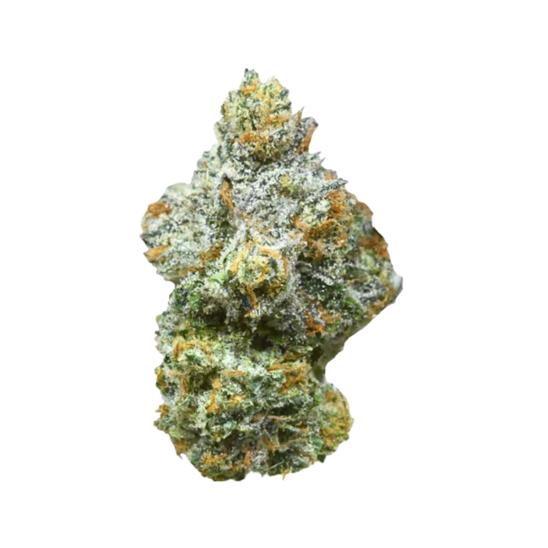 MOCA Humboldt: Ice Cream Man #5
