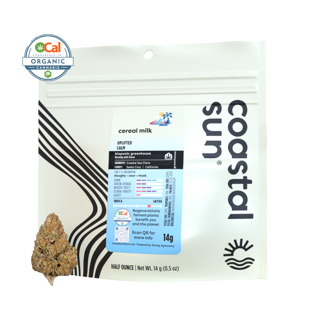 Coastal Sun: Cereal Milk