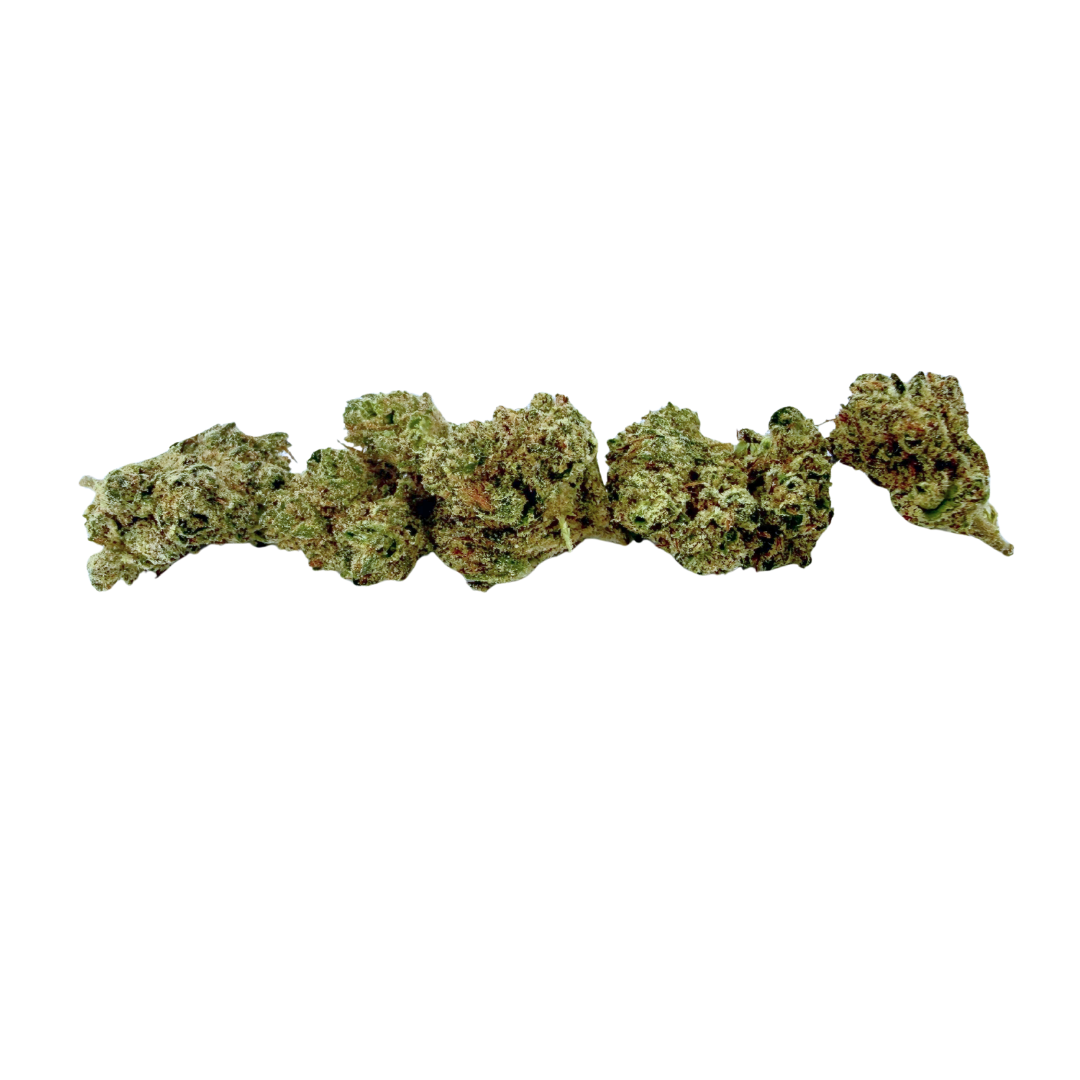 Talking Trees: Gelato 33