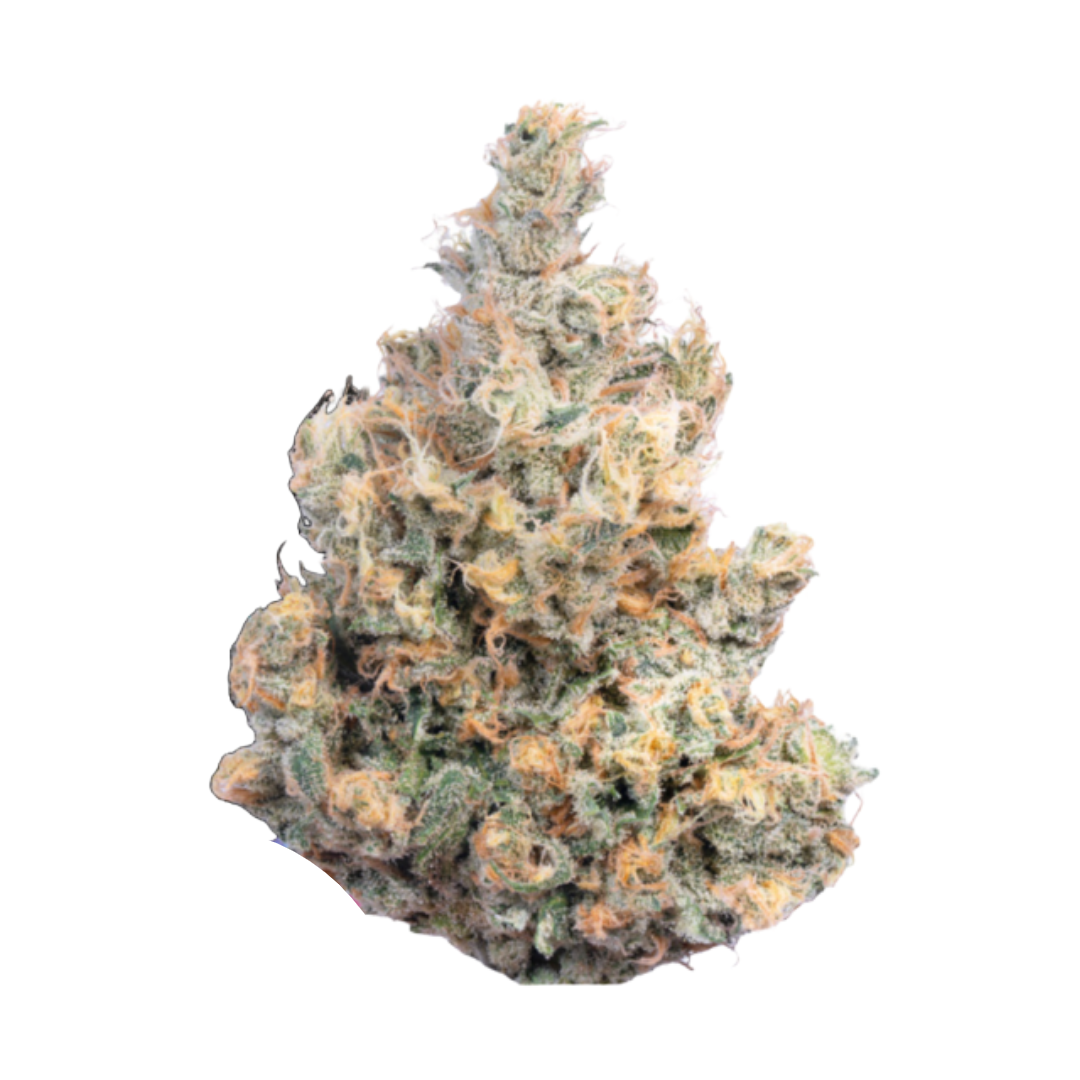 State Flower — BLUE DREAM