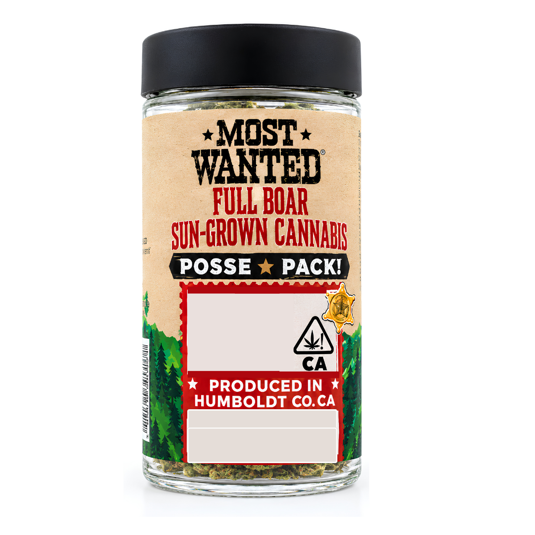 Most Wanted: Cannatonic X Ringos Gift Rich