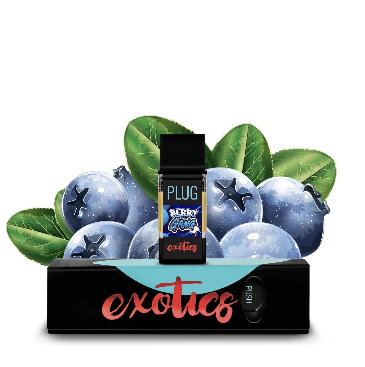PlugPlay: Exotics - Berry Gang