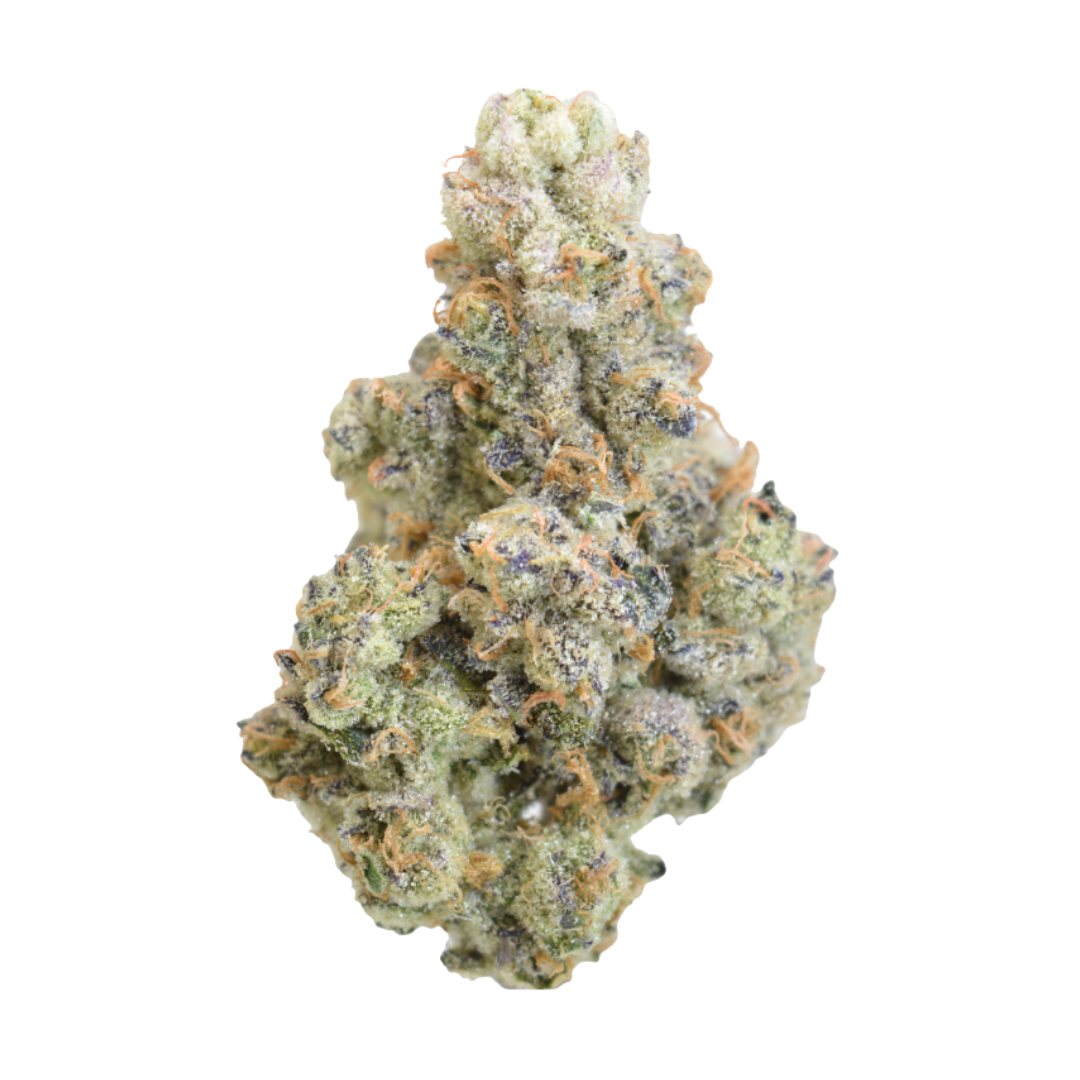 MOCA Humboldt: Sour Runtz