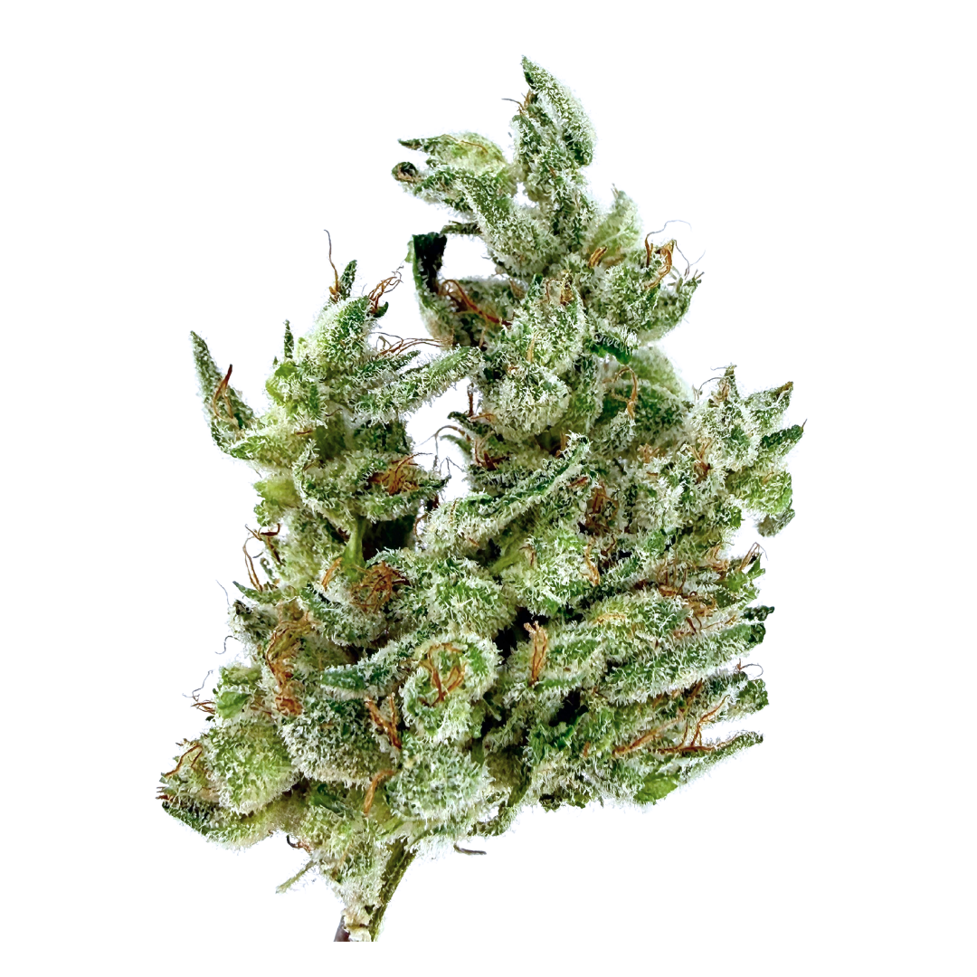 Sticky Status — GORILLA GLUE