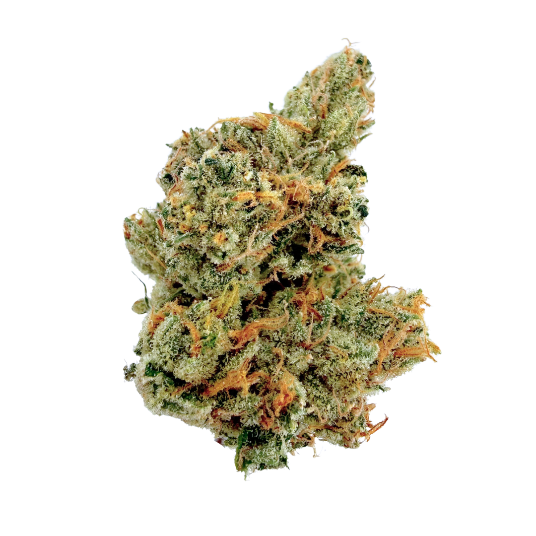 Decibel Gardens: Grape Jet Fuel
