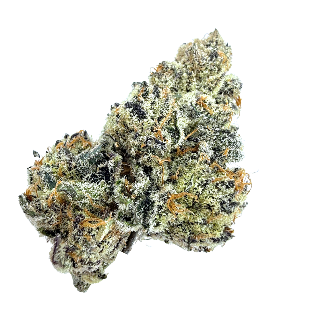 Decibel Gardens: Alien Orange