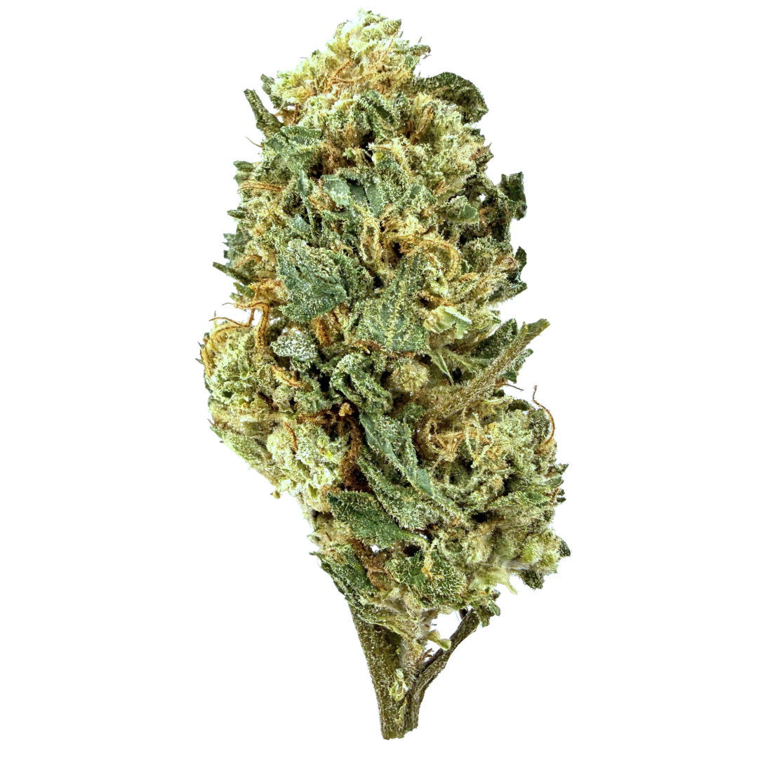 DELTA BREEZE — SPACE BURGER 28G -