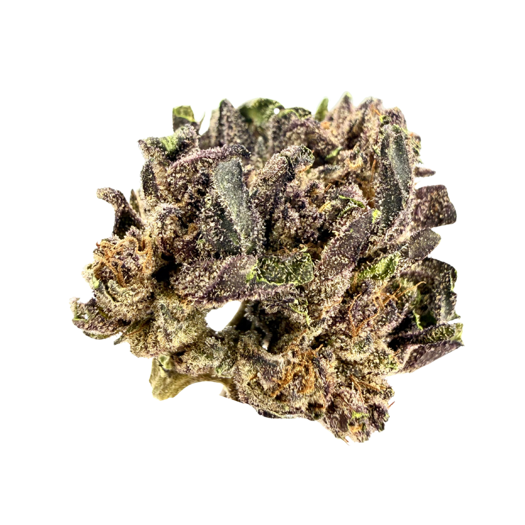 RIDGELINE FARMS — RIDGELINE ROSE