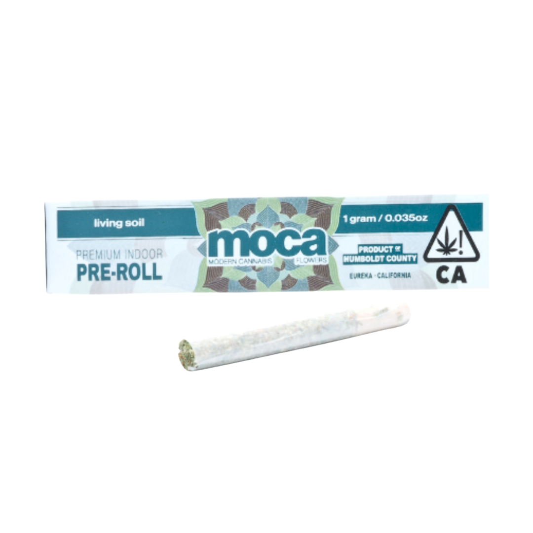 MOCA Humboldt: Road Punch