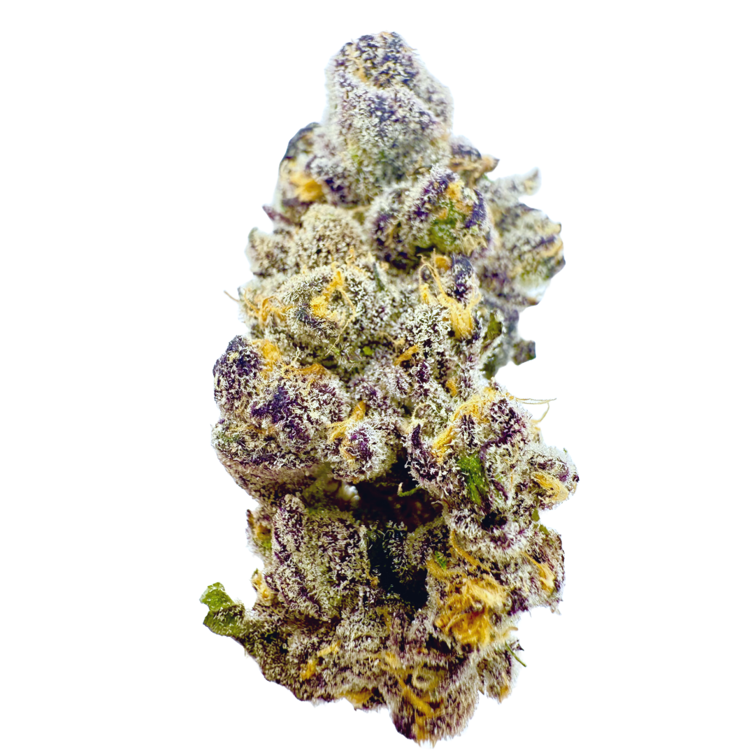 Decibel Gardens — COSMIC BANANA