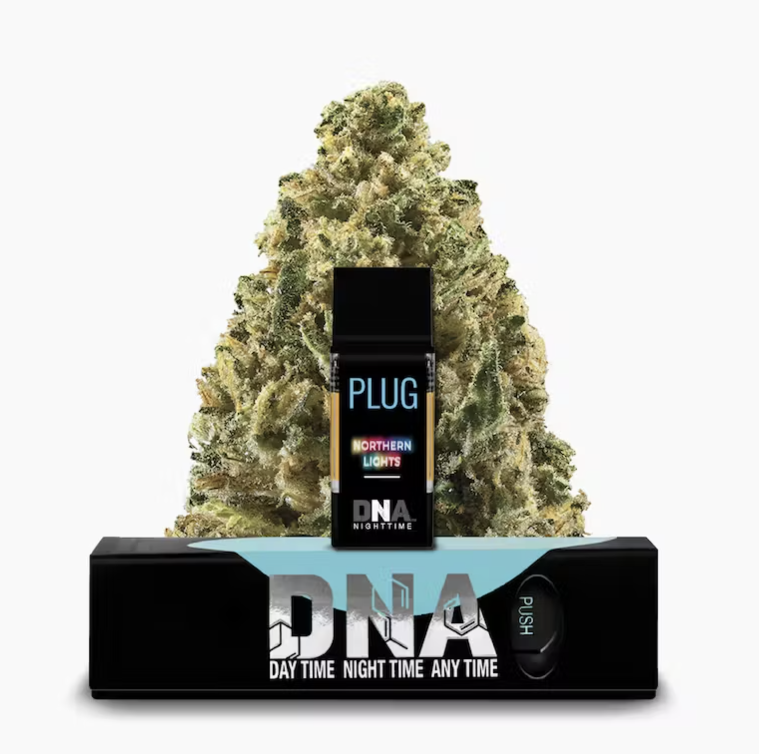 PlugPlay: Dna - Northern Lights