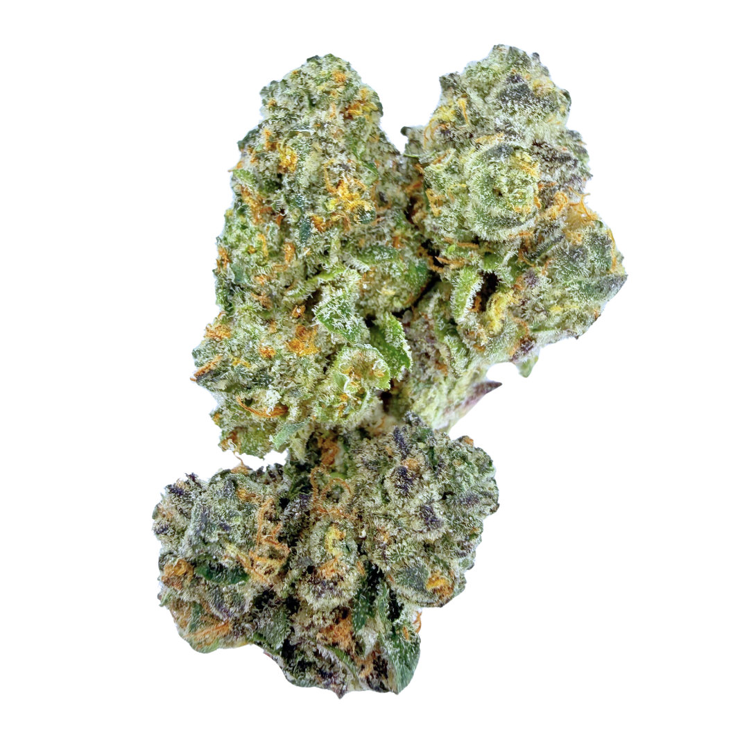 UpNorth: Lemon Tree