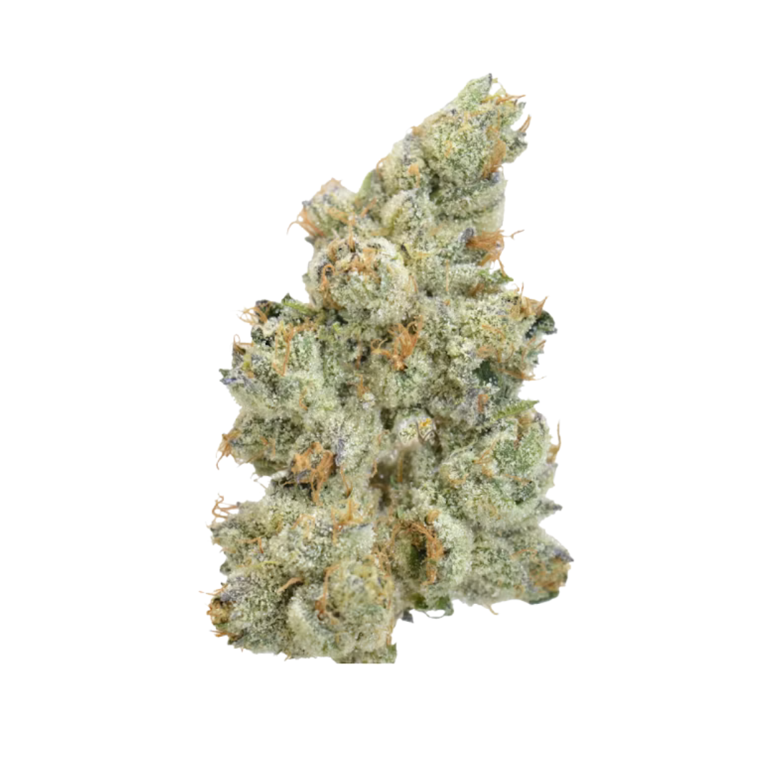 MOCA Humboldt: Strawberry Pop