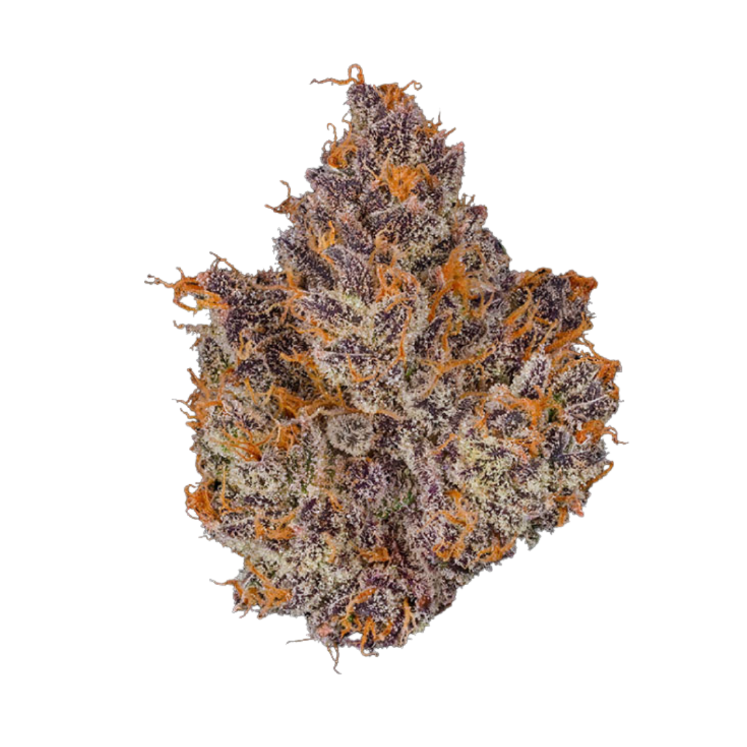 Bosky Genetics: Orange Starburst Gram