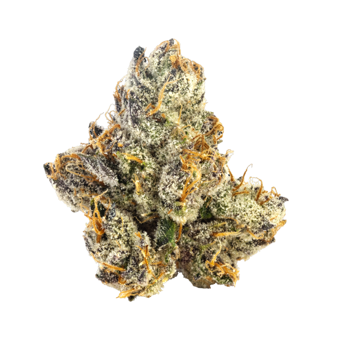 Bosky Genetics: Bolo Runtz