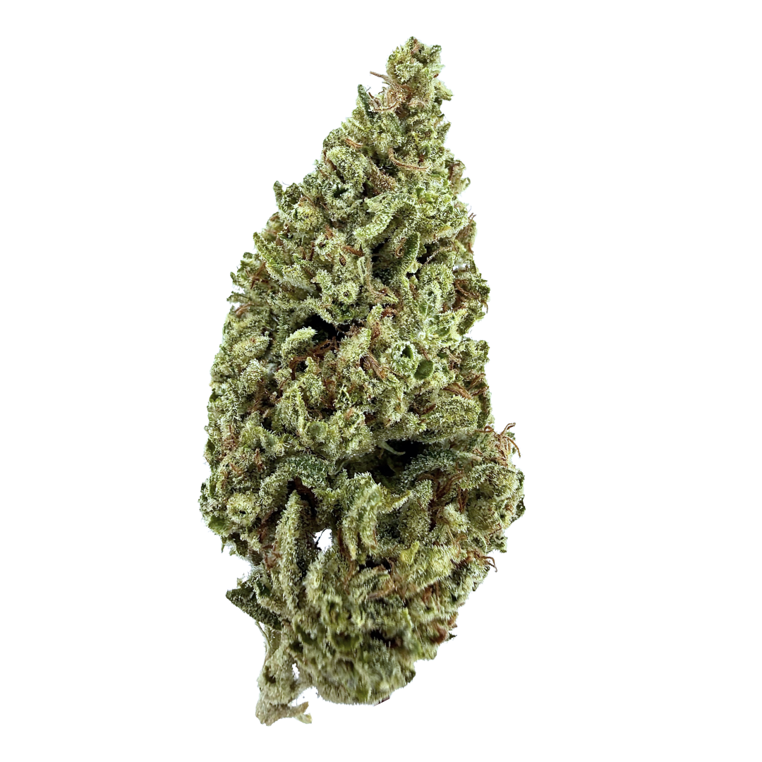 Arcanna: Fire Horse OG
