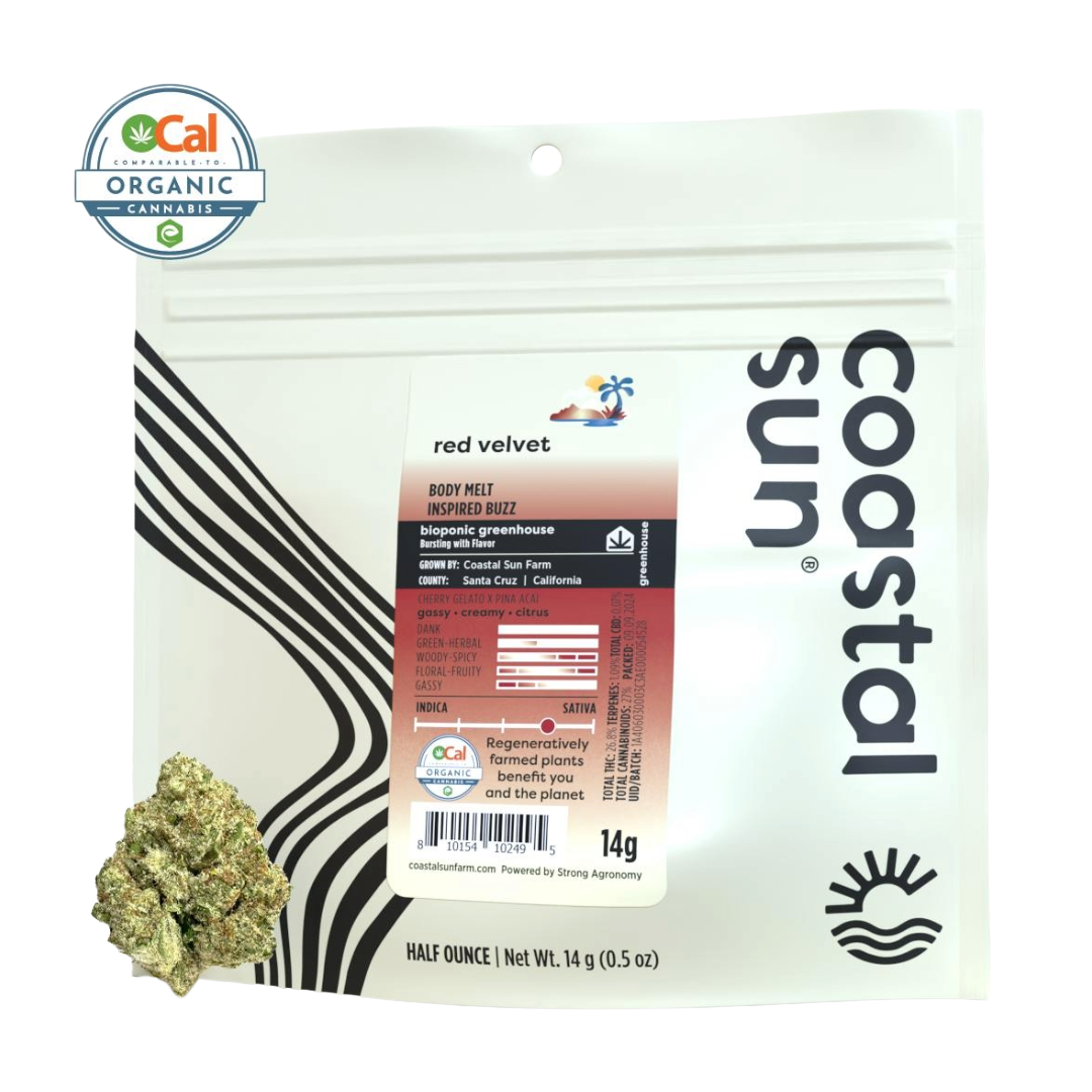 Coastal Sun: Red Velvet