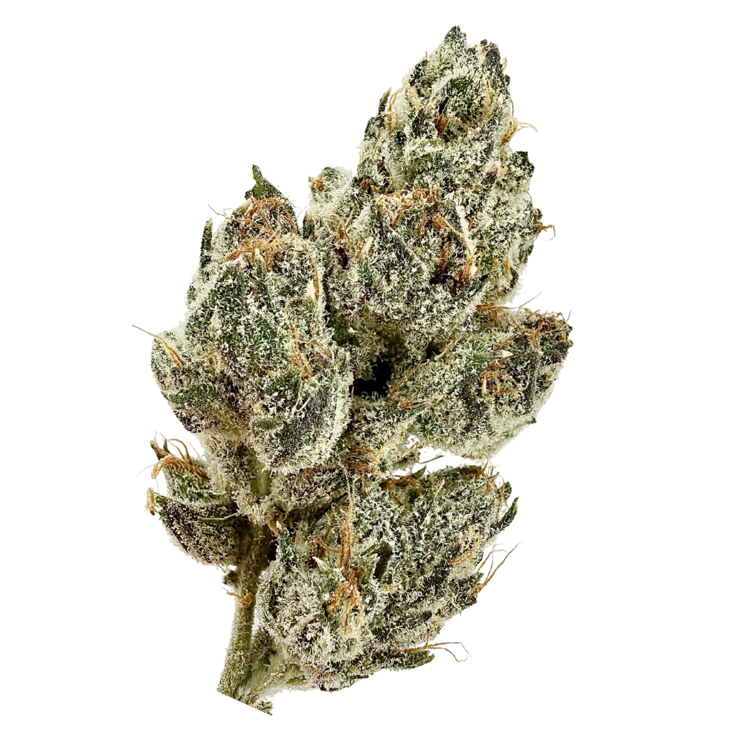 Fig Farms — ZODASHI