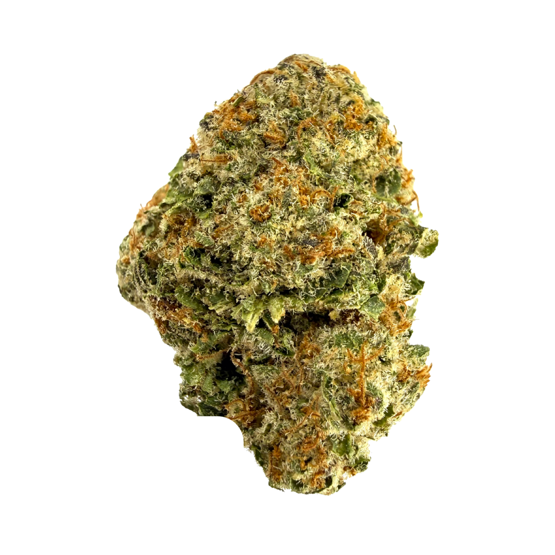 Humo — DOSIDOS