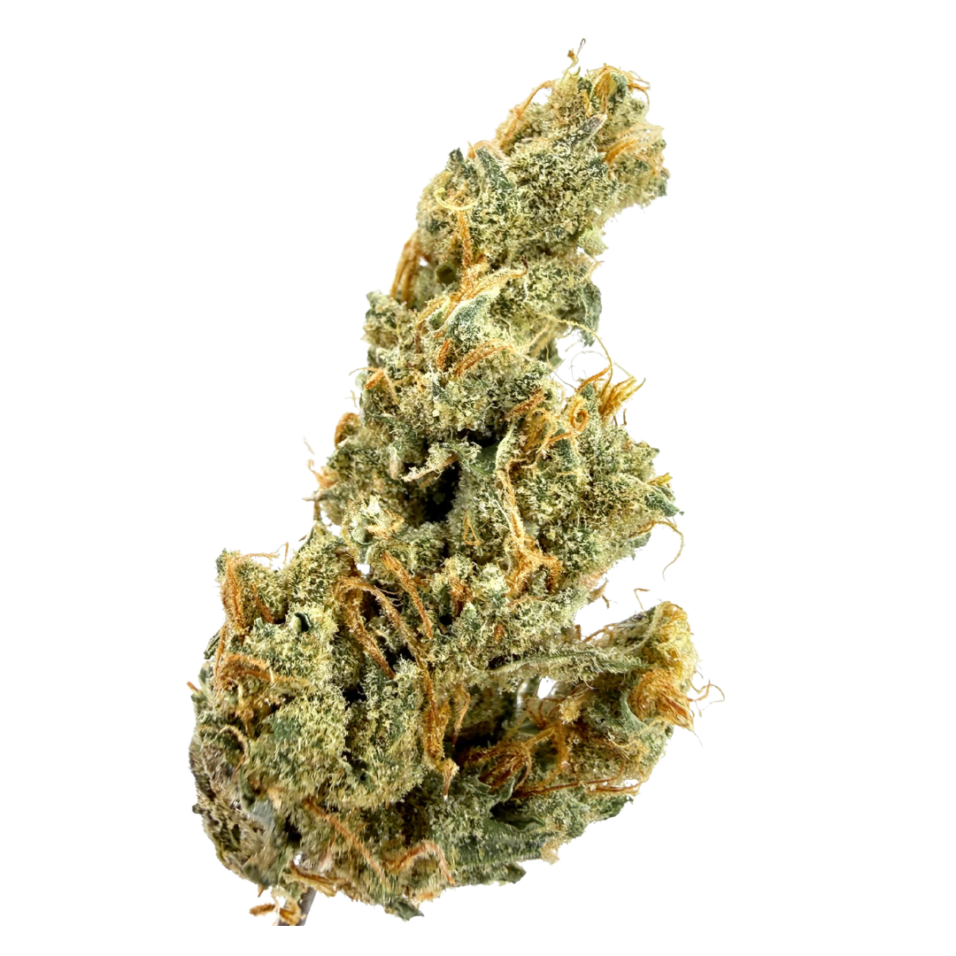 WILD LIGHT — Juicy Fruit