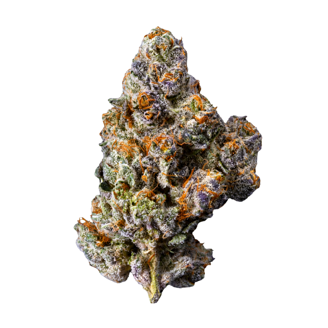 Bosky Genetics: Soap X Odder Popz #29