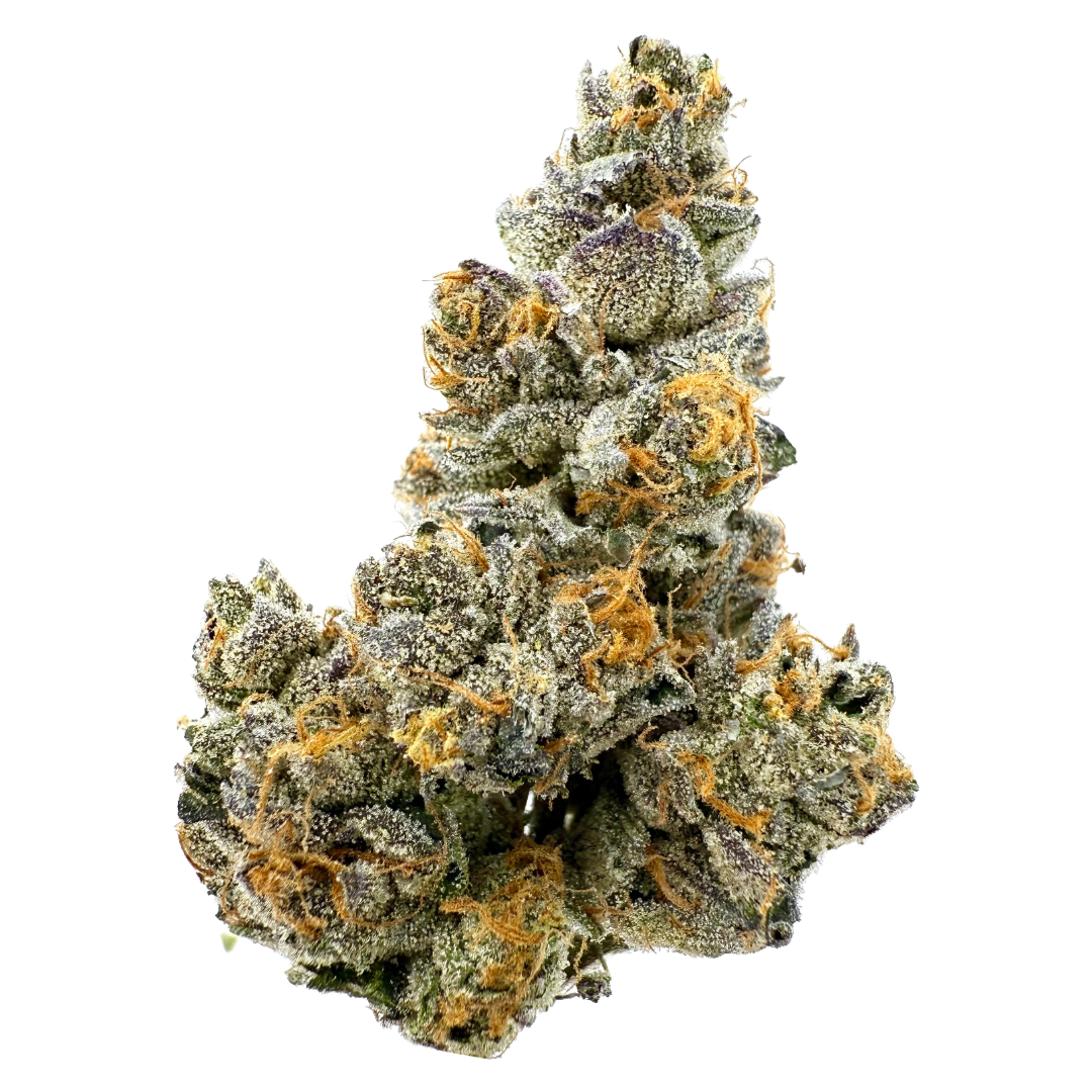 WILD LIGHT: Stone Fruit