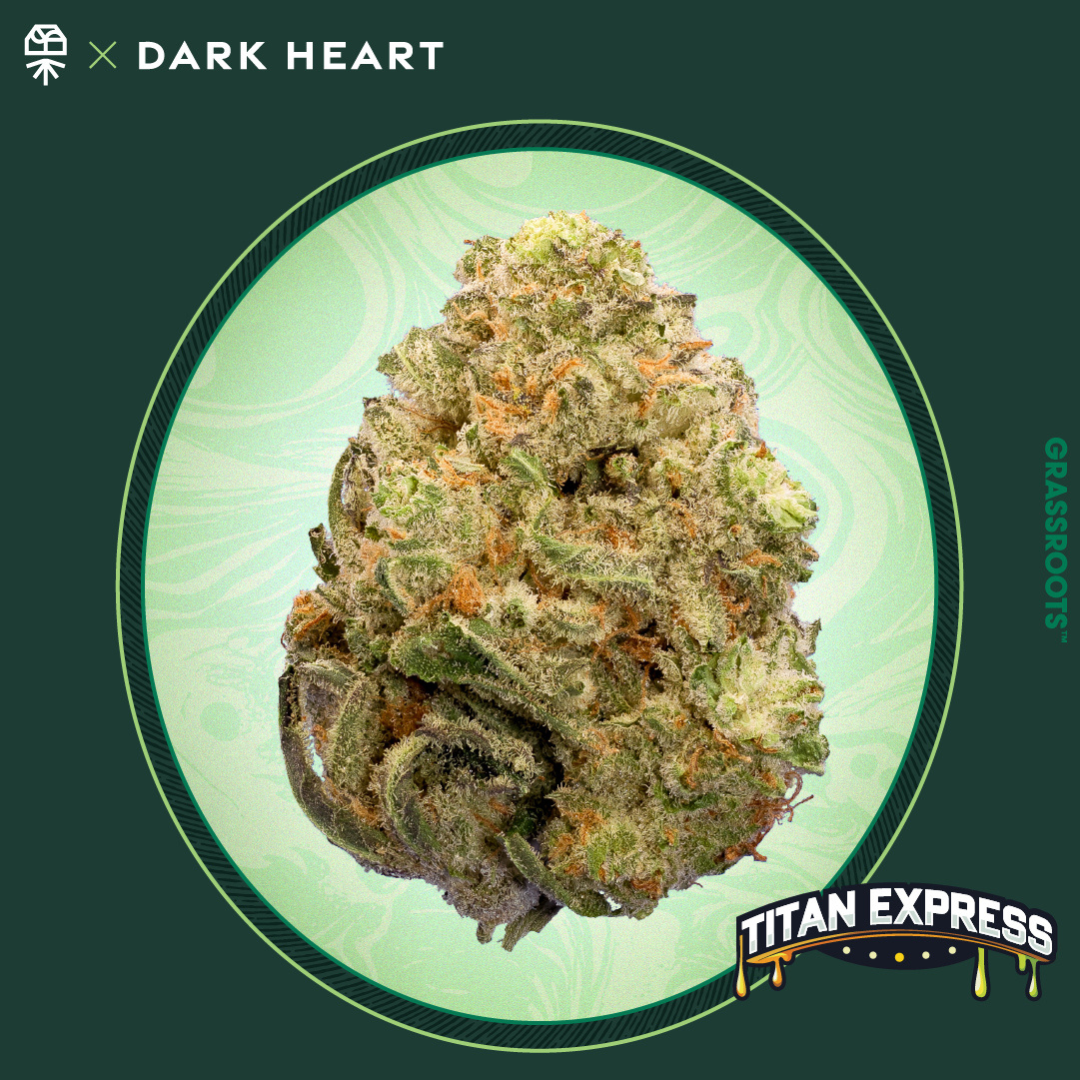 Dark Heart Collection - TITAN EXPRESS(3.5G)