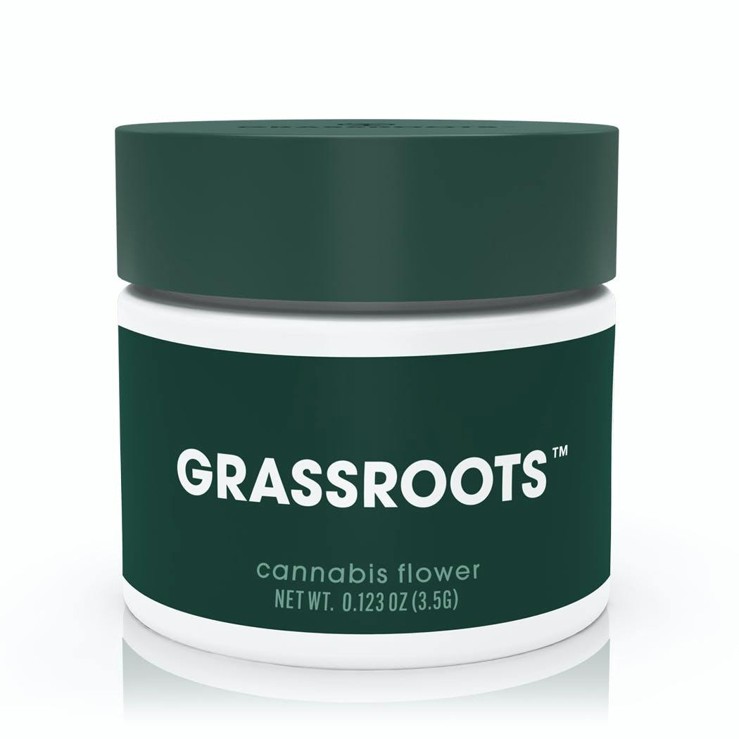 ASTRO GMO (3.5G)