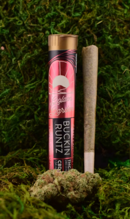 1 - 1G BUCKIN RUNTZ PREROLL