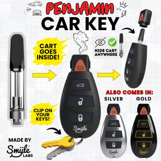 SMYLE Labs - Penjamin Car Key 510 Battery - Assorted - One Size